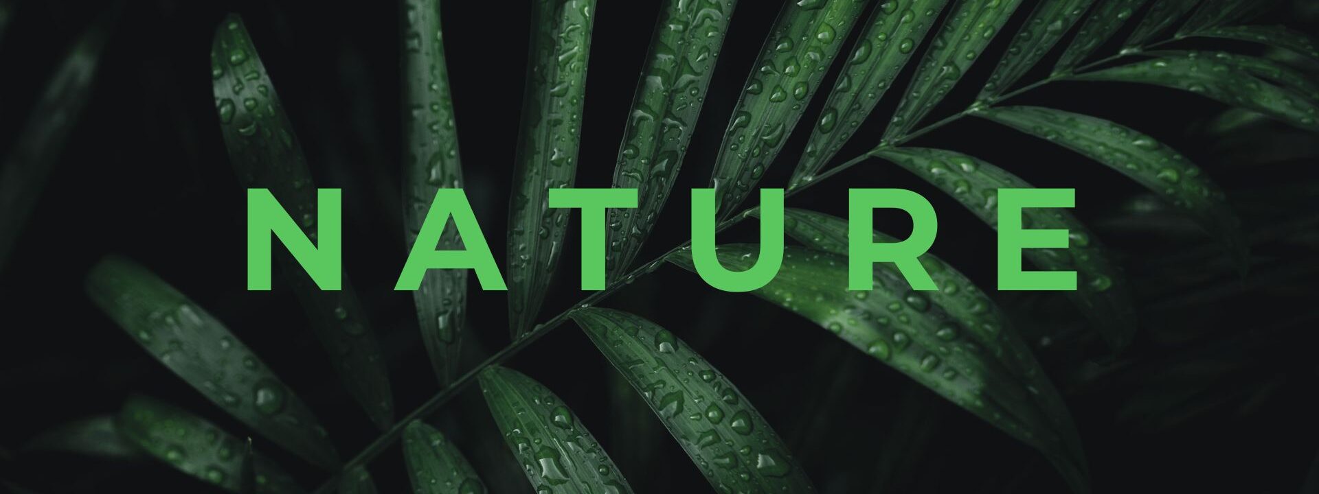Nature Site slideshow